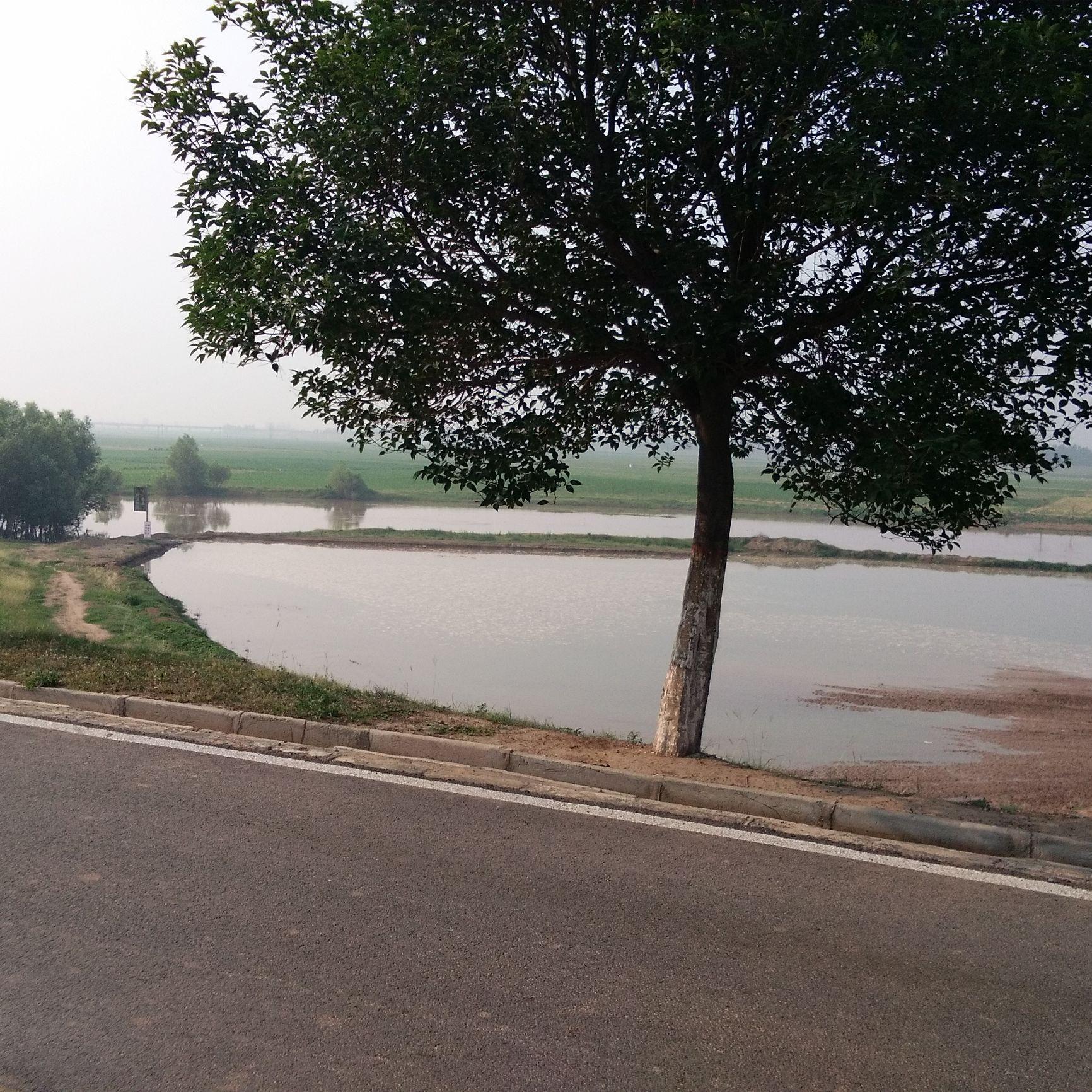 生活杂记（摘抄）快速恢复２０２３年元月０７日