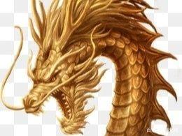 你我关注的日子是今天