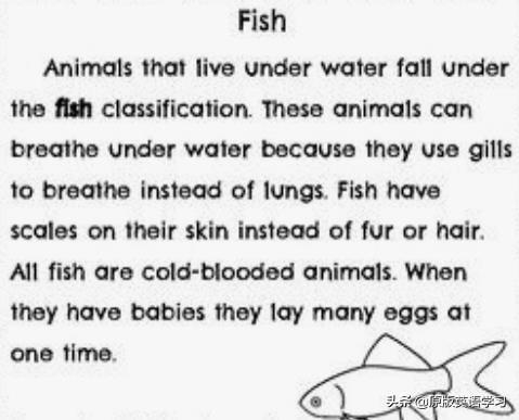 原版阅读英语 Fish 原版阅读英语 Fish