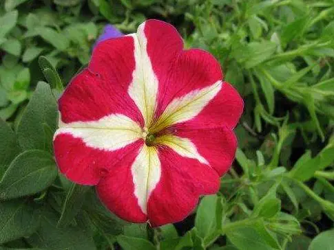 优秀的人，永远都懂得尊重别人