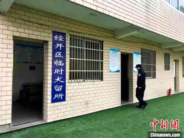 无主犬流浪犬被捕捉后如何安置？无锡官方回应