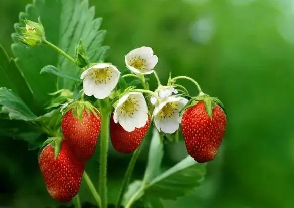 优秀的人，永远都懂得尊重别人