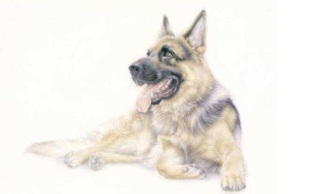 中国诗词大会第七场中蒙曼老师提到的 黄狗 是