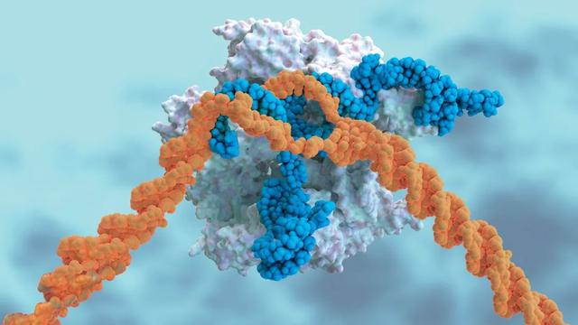 《科学》公布2021年度十大科学突破