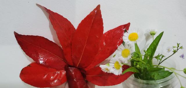 乳腺癌姐妹们，别认为你就是世上最倒霉的那一个，真的不是