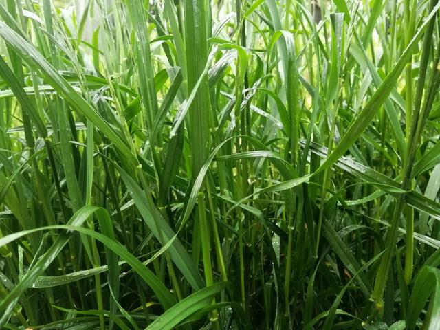 乳腺癌姐妹们，别认为你就是世上最倒霉的那一个，真的不是